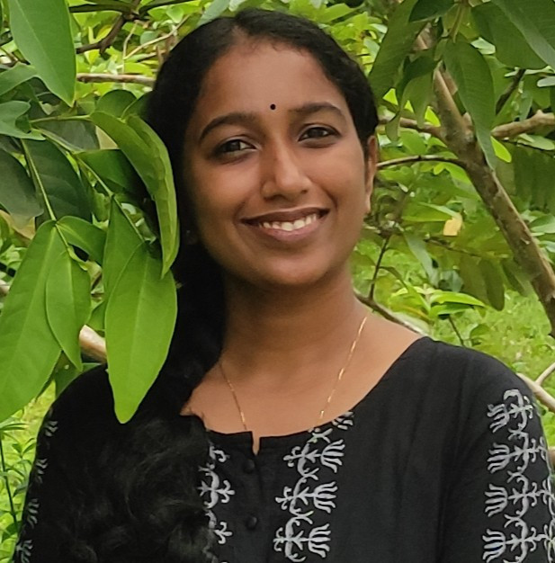 IEEE AP-S Fellowship Award