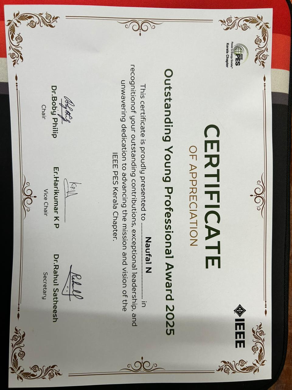 IEEE Power and Energy Society Outstanding Young Professional Award 2025