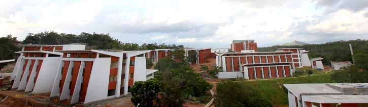 Institute