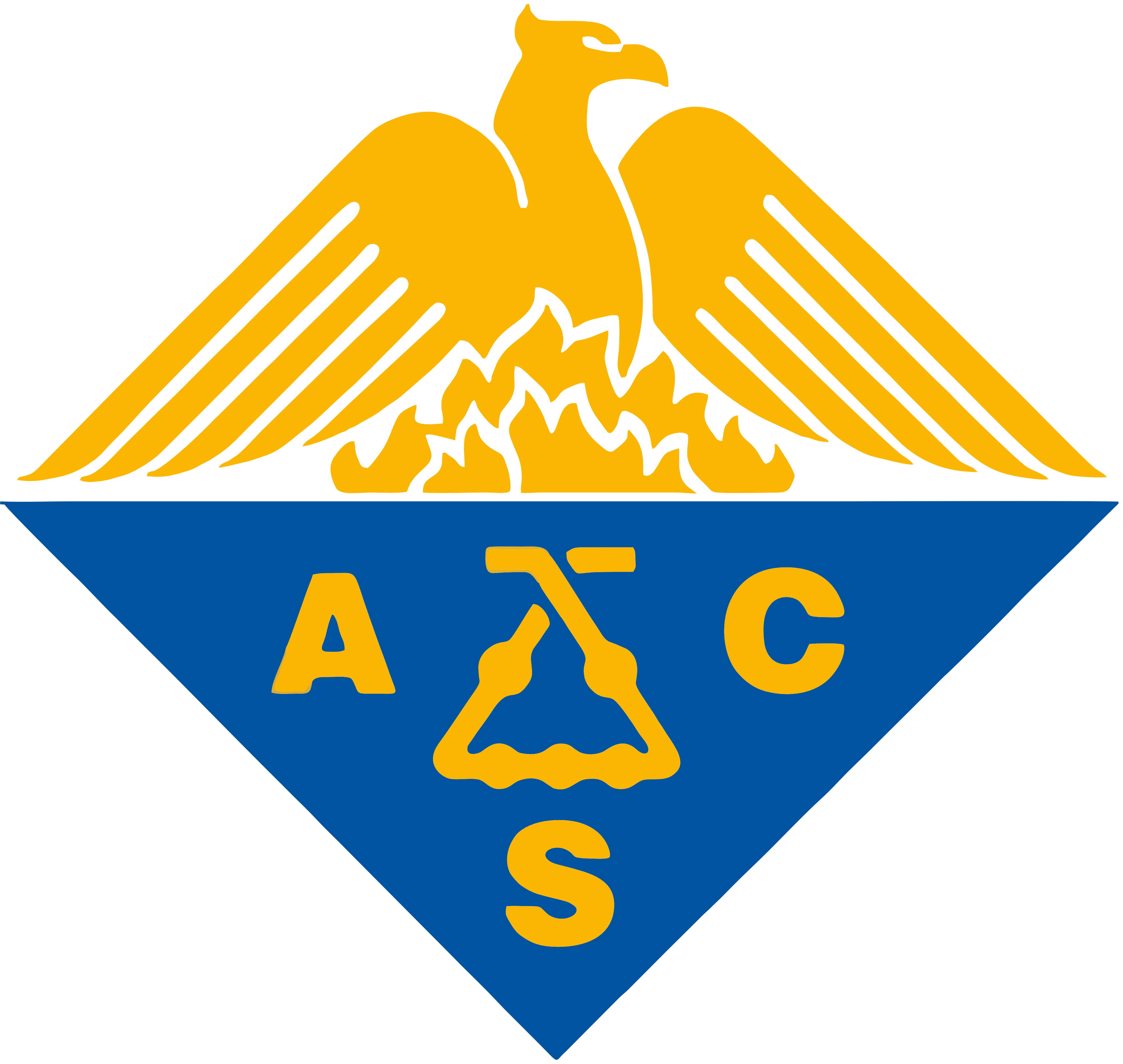 American Chemical Society 