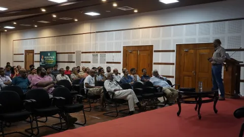 A model of transience and freezing-Many sokobans on a line