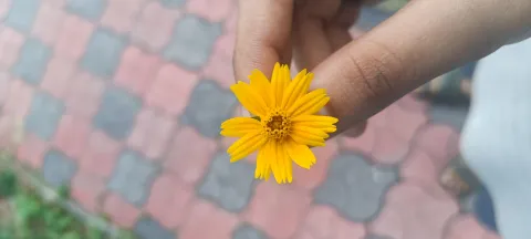 random