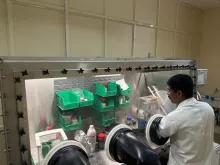 OLED1